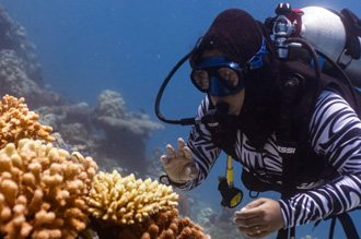 Scuba diving adventure in the Maldives ocean